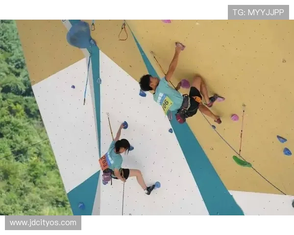 武汉攀岩队的比赛经验分享与攀岩技巧探讨聚焦攀岩运动的未来发展